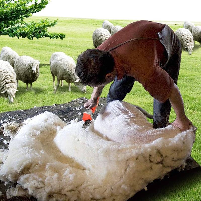Какой должна быть машинка для стрижки овец?