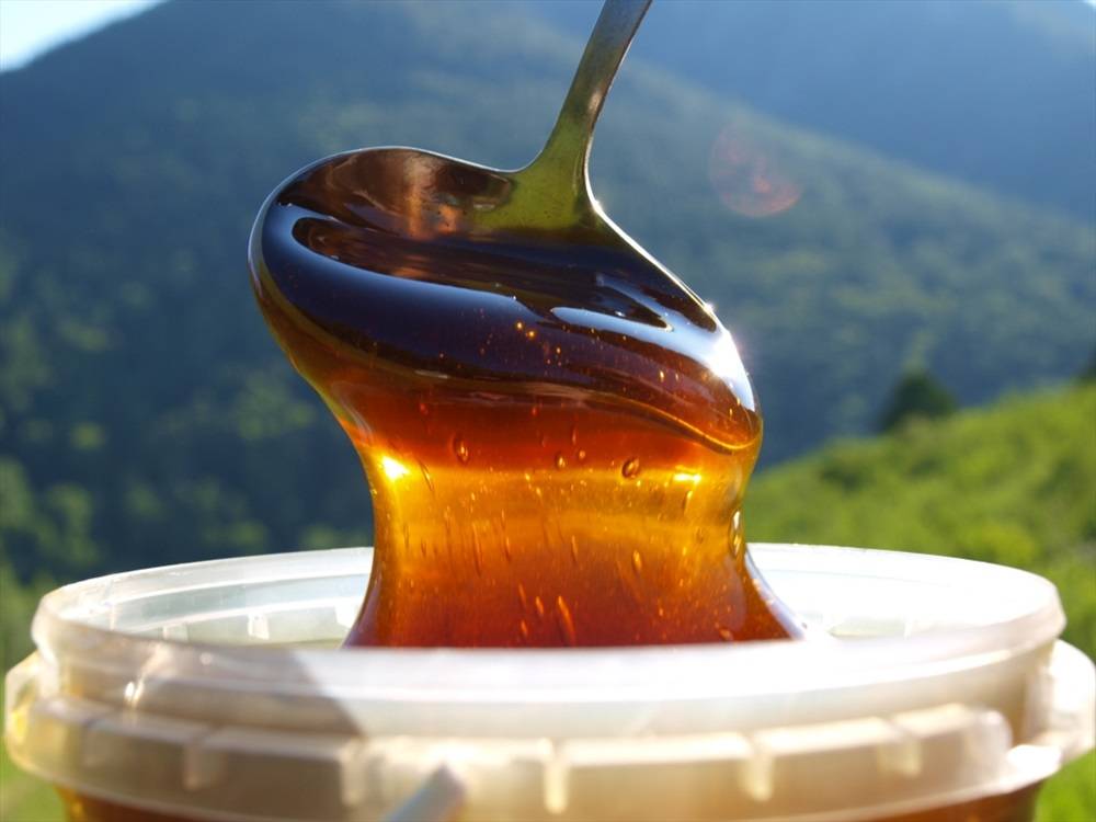 Дягилевый мед: полезные свойства и противопоказания, как его употреблять, что такое, из чего делают
