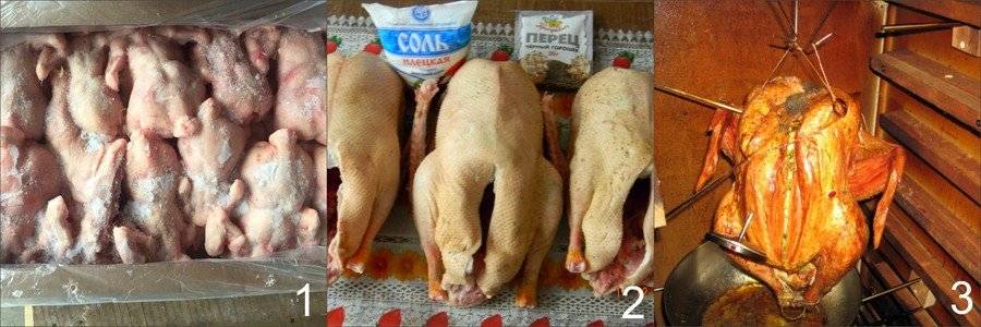 Забой кур бройлеров на мясо: сколько курица растет до забоя и как разделать тушку