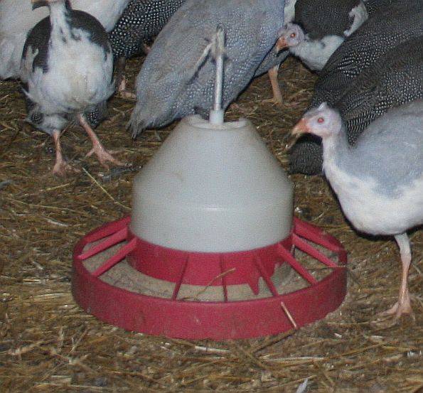 Кормушка для кур: 9 видов - бункерная из подручных материалов для цыплят, автоматическая своими руками для бройлеров, как сделать