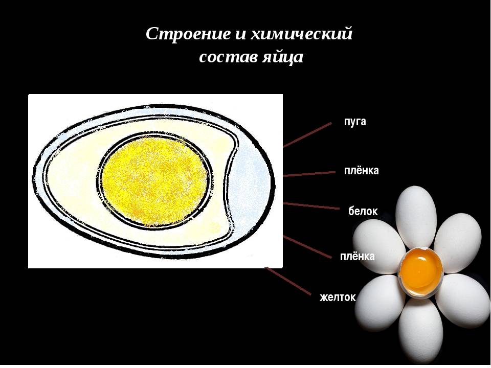 Яйцо куриное: калорийность 1 шт, состав и строение, ценность
