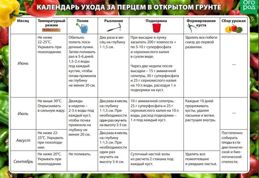Календарь подкормок для томатов, который подскажет, когда нужно внести удобрения и какие подкормки актуальны на данном этапе развития