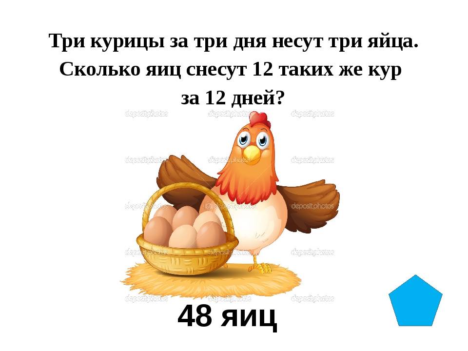 Сколько яиц несет курица в день максимум в домашних условиях?