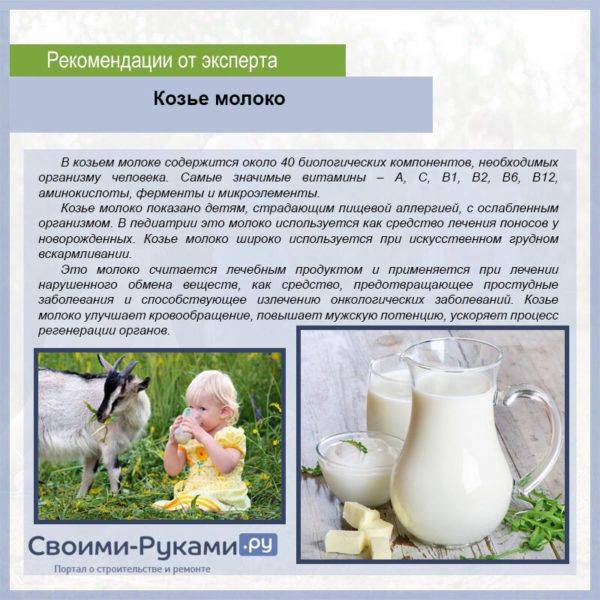 Сколько литров молока дает коза в сутки в среднем