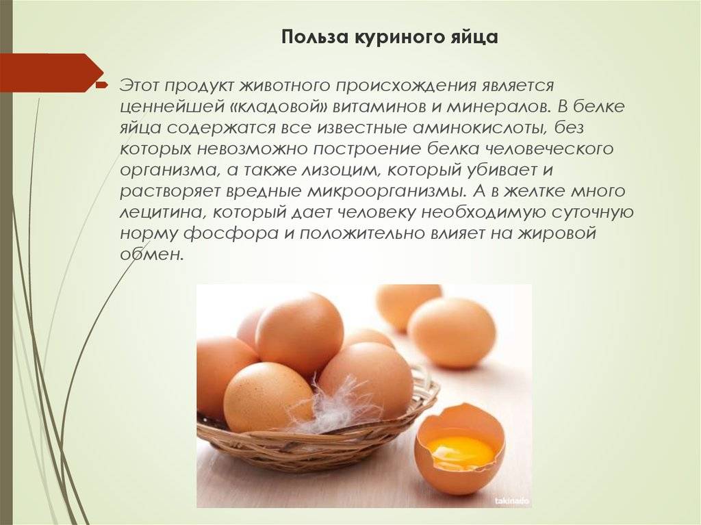 Польза и вред яиц для организма мужчин и женщин