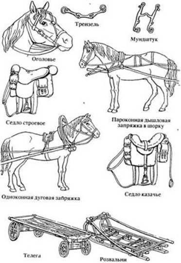 ᐉ хомут для лошади: назначение, устройство, запряжка лошади своими руками - zooon.ru