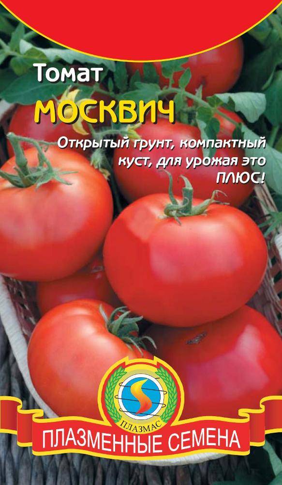 Характеристика и описание томатов москвич — правила выращивания и отзывы дачников