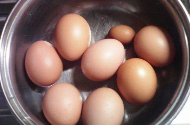 Почему куры несут мелкие яйца: причины и пути решения проблемы