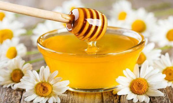 Хлопковый мед полезные свойства и противопоказания