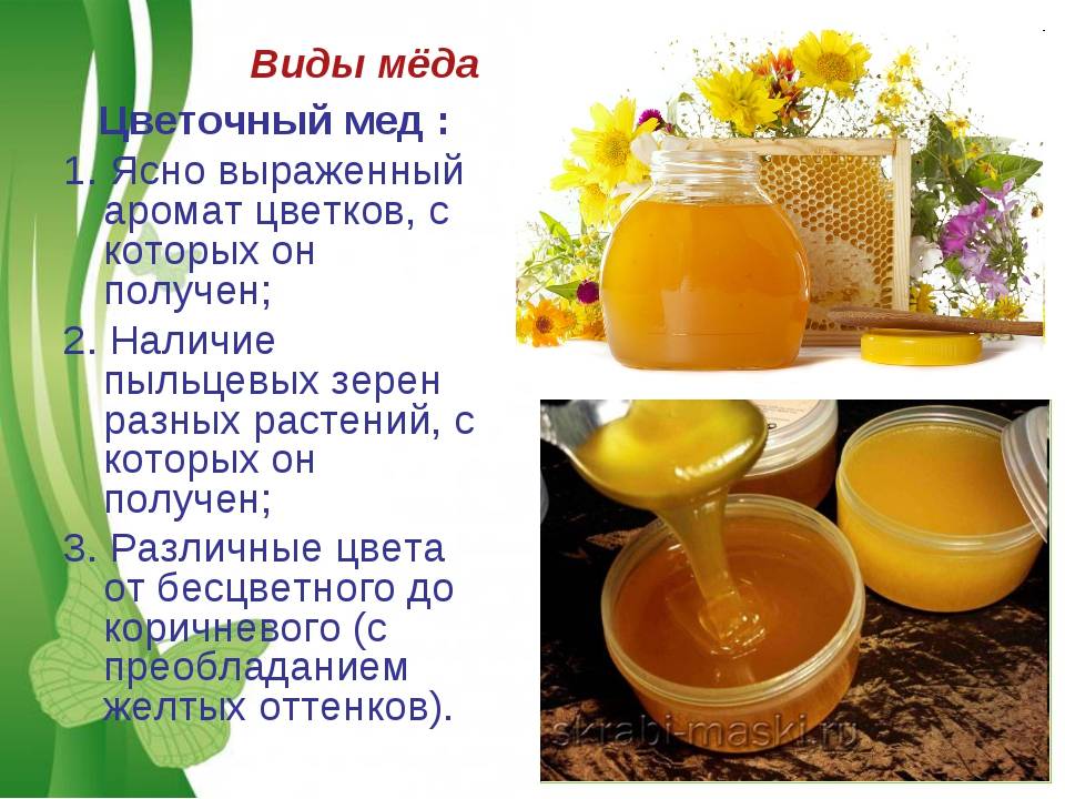 Цветочный мед: полезные свойства, противопоказания, рецепты