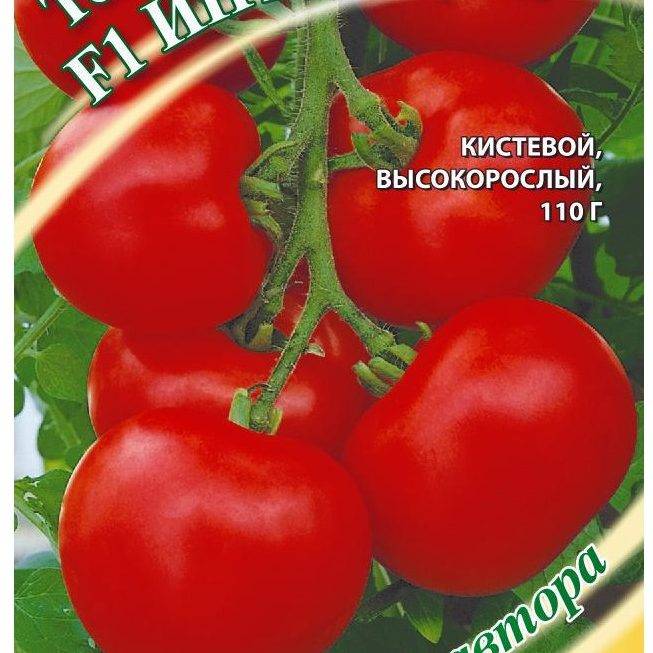 Устойчивый к большинству заболеваний томат — интуиция f1: описание сорта и характеристики