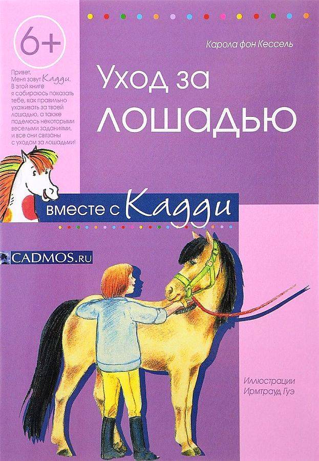 Содержание и уход за лошадьми: советы и инструкции