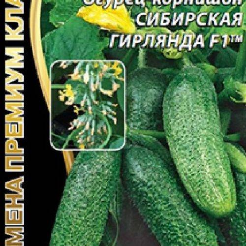 Огурец сибирская гирлянда f1: отзывы, фото урожая, описание суперпучкового корнишона