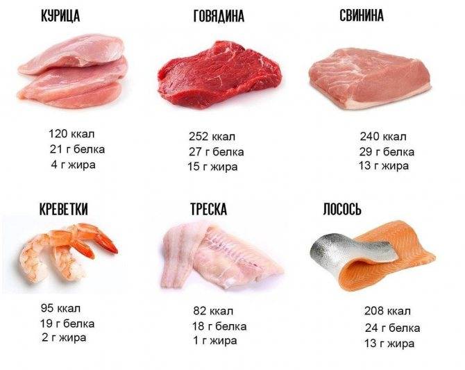 Мясо гуся - как выглядит, как выбрать, хранить и как приготовить на ydoo.info