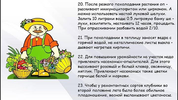10 советов для начинающих от опытных садоводов - prosad.ru всё про сад и огород