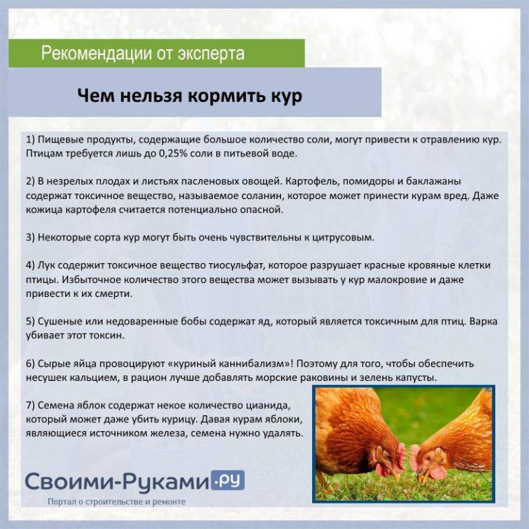 Глистогонные препараты для кур и с/х птицы | апиценна