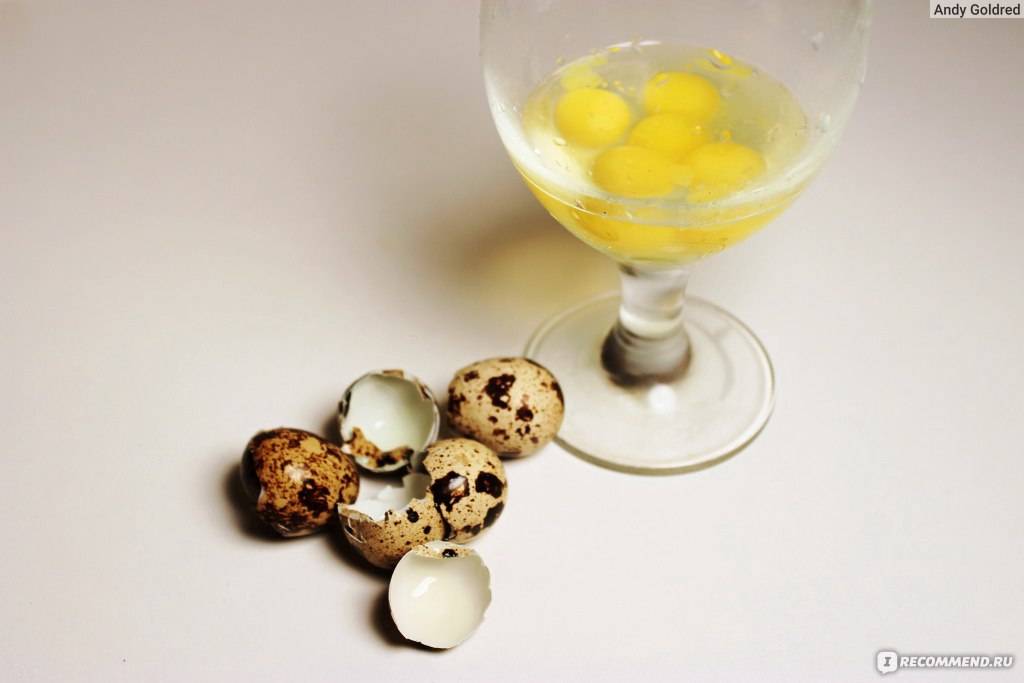 Перепелиные яйца: состав, польза и вред, способы употребления