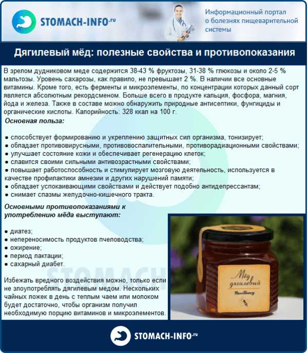 Лесной мед: полезные свойства и противопоказания. виды лесного меда