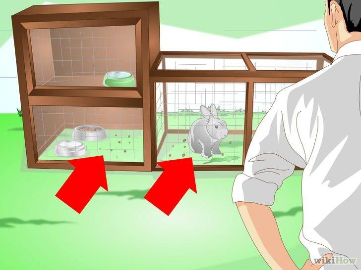 Дезинфекция кроличьих клеток своими руками: подробная инструкция + список препаратов