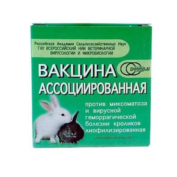 Витамины для кроликов: какие давать, в каких случаях, дозировка
