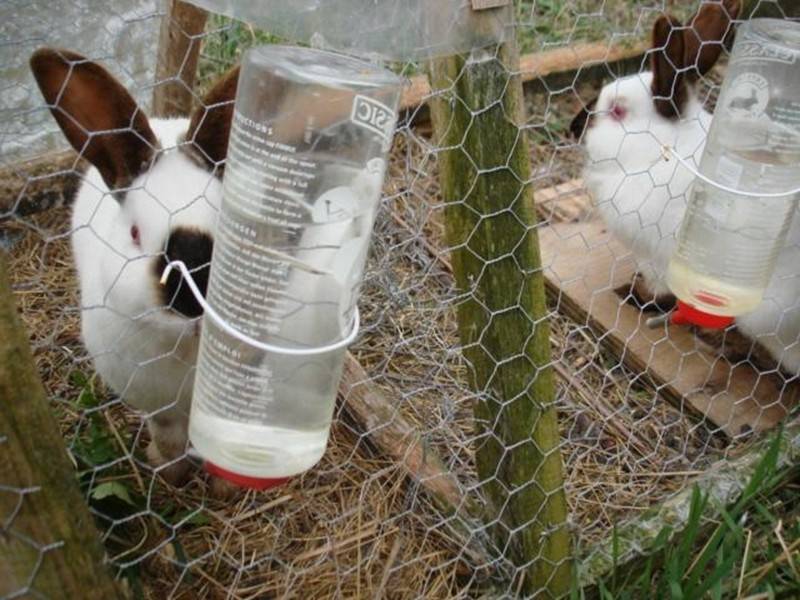 Поилки для кроликов из пластиковой бутылки