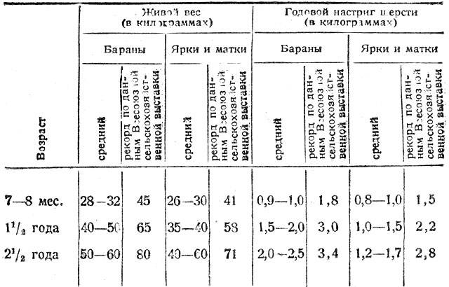 Максимальный и средний вес барана в различном возрасте: обзор разных пород