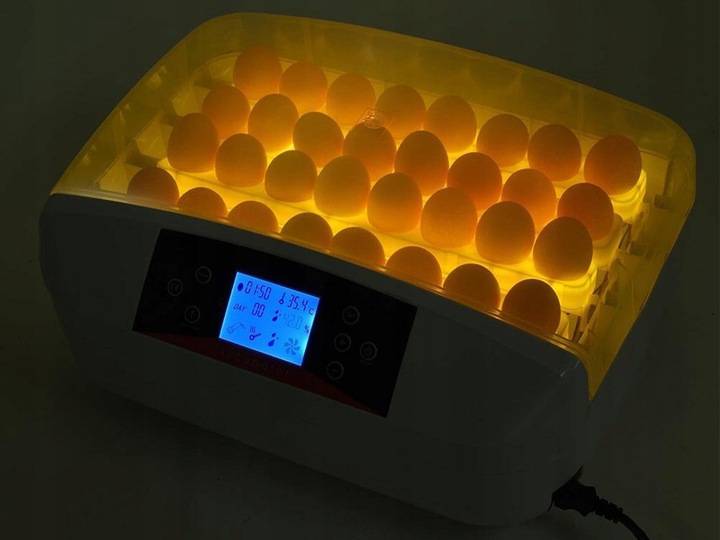 Рейтинг топ 5 лучших инкубаторов для яиц: какой выбрать, характеристики, отзывы