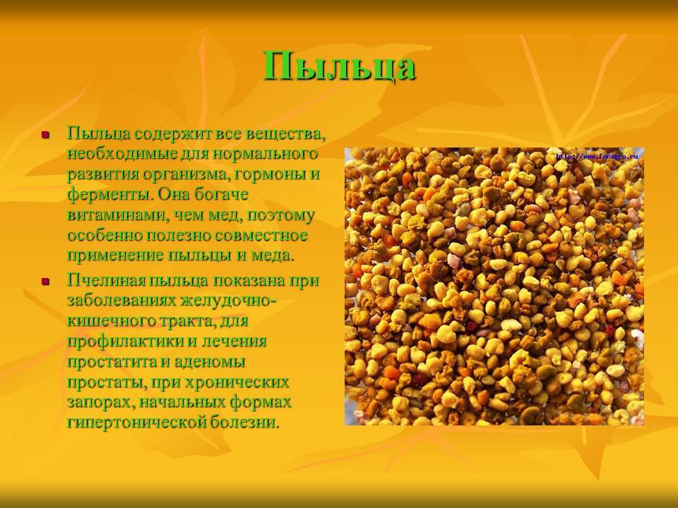 Рецепты лечения пыльцой различных болезней