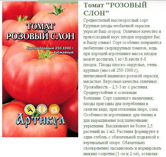 Характеристика и описание сорта томатов «розовый гигант»