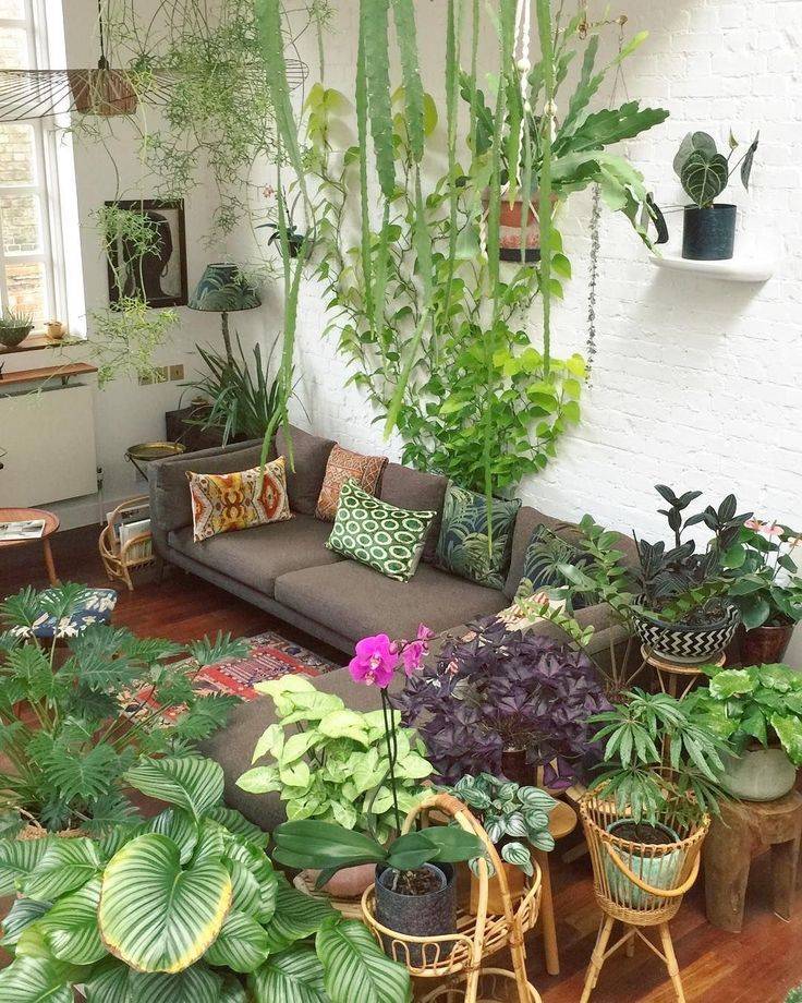 Как разместить комнатные растения в интерьере, если для них нет места
