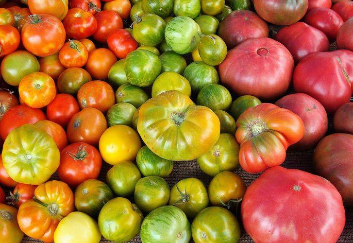 Как и где дозаривать зеленые помидоры, как ускорить и замедлить созревание