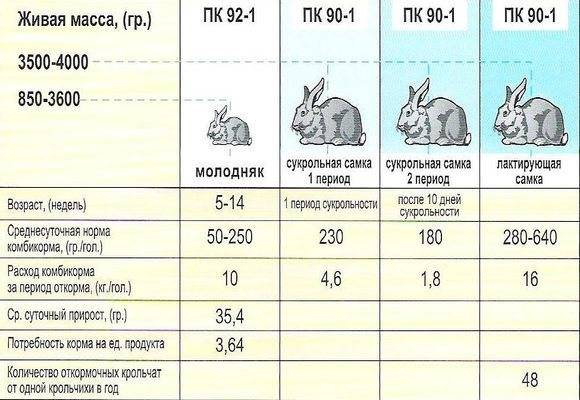Суточная норма корма для кроликов великанов