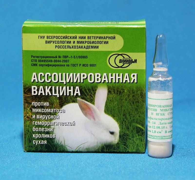 Витамин д для кроликов