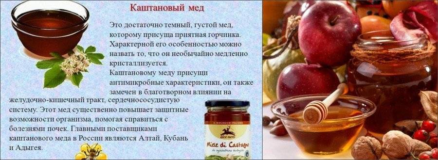 Каштановый мед свойства, польза и противопоказания