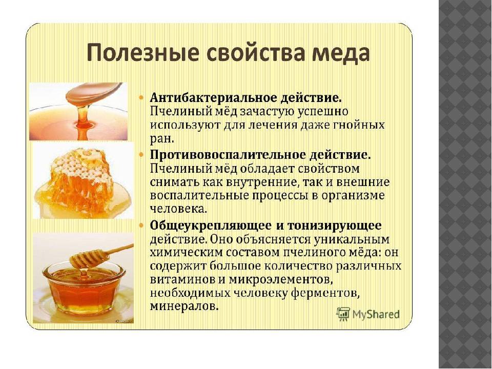 Калорийность меда, его польза и вред, полезные свойства