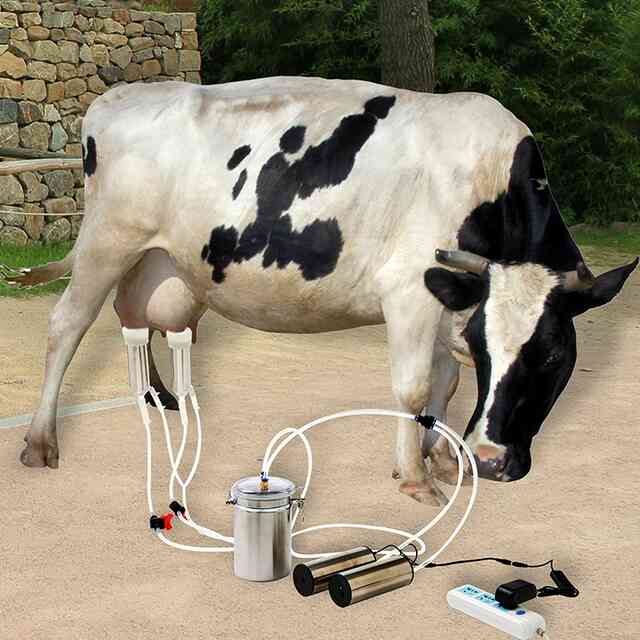 Как сделать доильный аппарат для коров в домашних условиях?