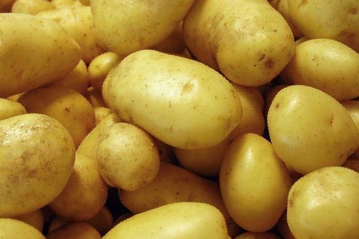 Сорт картофеля гала: сроки созревания и характеристика