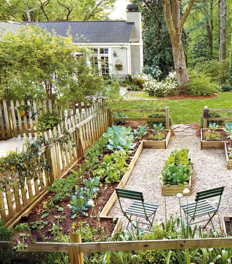 Март в саду и на огороде: работы садовода-огородника на участке