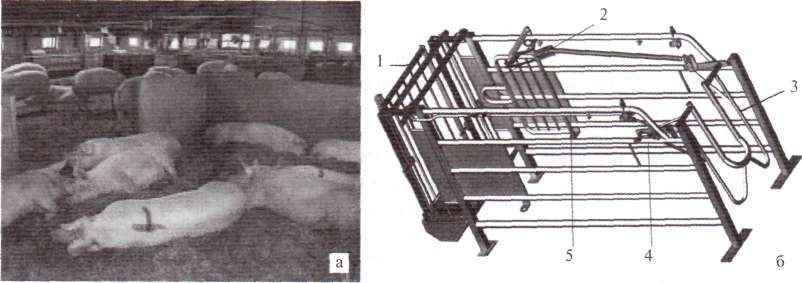 Клетки для свиней своими руками: чертежи, размеры и инструкция по изготовлению