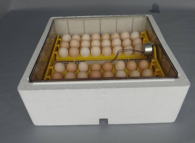Топ-5 инкубаторов для цыплят по мнению дмитрия спесивцева
