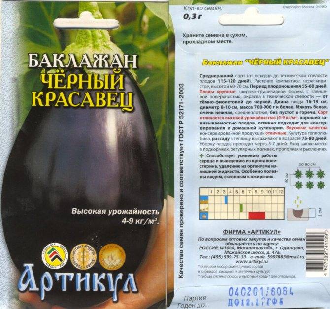 Баклажан черный красавец: описание и характеристика сорта, урожайность с фото