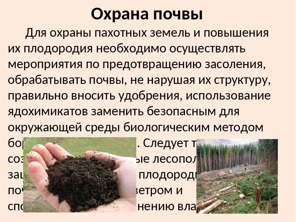 Пора прощупать почву. какие меры помогают сохранить и повысить плодородие - союз органического земледелия