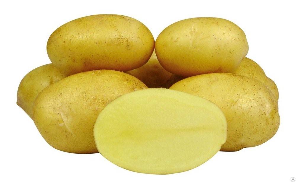 Как правильно выращивать картофель сорт тулеевский?