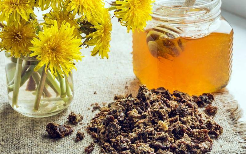 Прополисный мёд — вкусность с большим процентом пользы