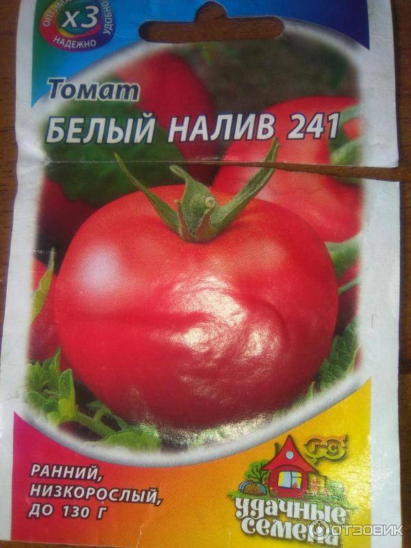 Томат белый налив: характеристики, секреты и особенности выращивания помидоров (125 фото и видео)