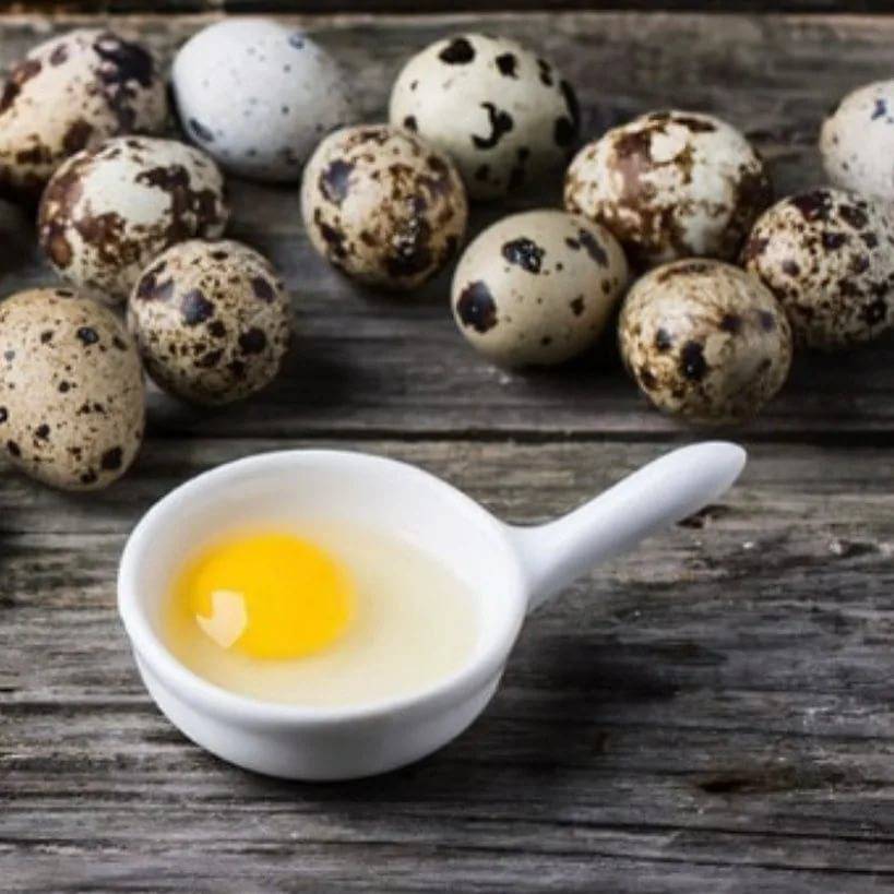 Какая польза и вред от перепелиных яиц для организма