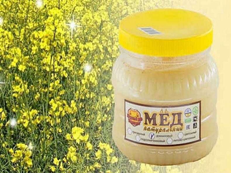 Характеристики, полезные и лечебные свойства донникового меда