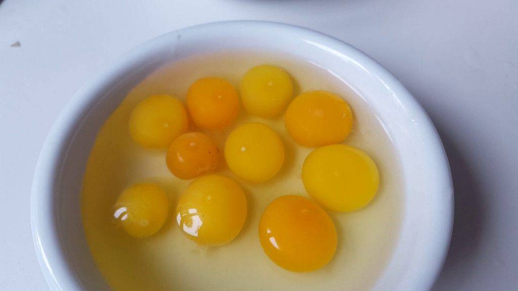 Овоскопирование — заглянем внутрь куриного яйца