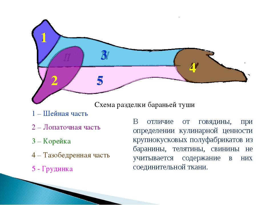 Разделка туши свинины (поросенка): схема с фото описанием, как разделать полутушу, четверть, ногу