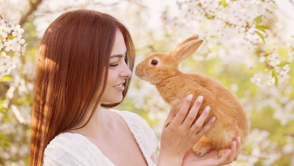 Как назвать кролика: имена для кроликов мальчиков и девочек